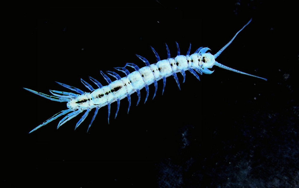 1000 Füssler Foto & Bild fotomontage, seelenklang, digiart Bilder auf