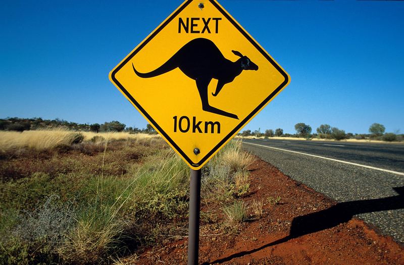 Australien Kangaroo Schild Australien Kangaroo Schild