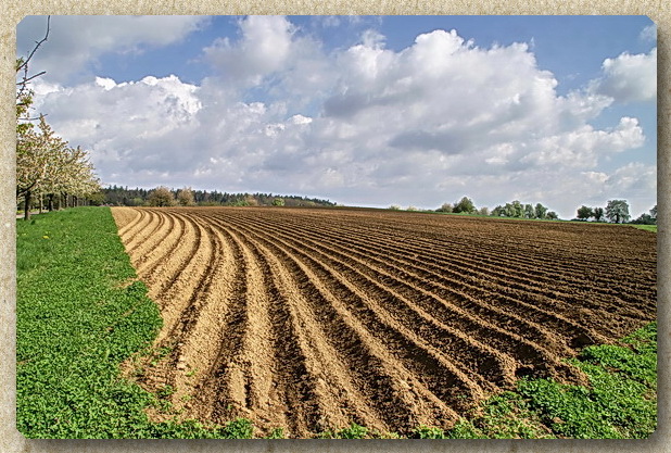 Acker Foto & Bild landschaft, kulturlandschaften, natur Bilder auf