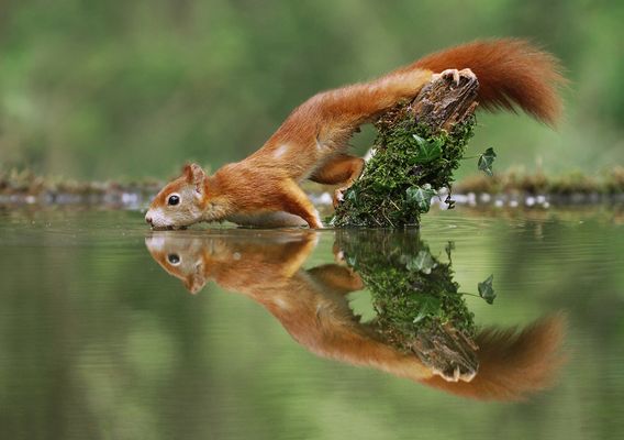 Natur Frühling Fotos & Bilder auf