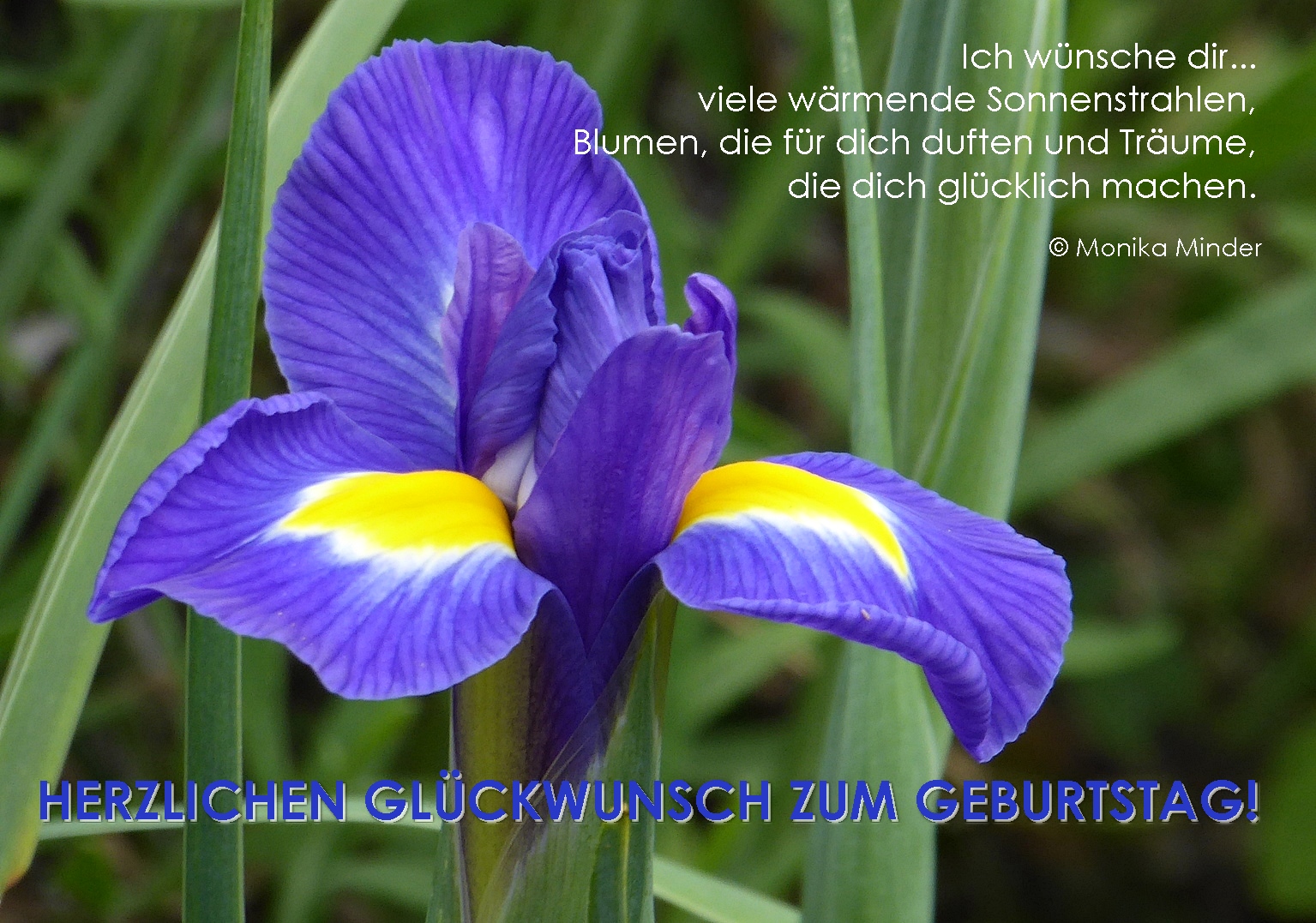 Alle guten Wünsche zum Geburtstag! Foto & Bild karte, glücklich