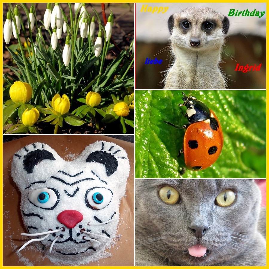 foto alles gute zum geburtstag alles gute zum geburtstag foto bild spezial foto alles gute zum geburtstag alles gute zum geburtstag foto bild spezial