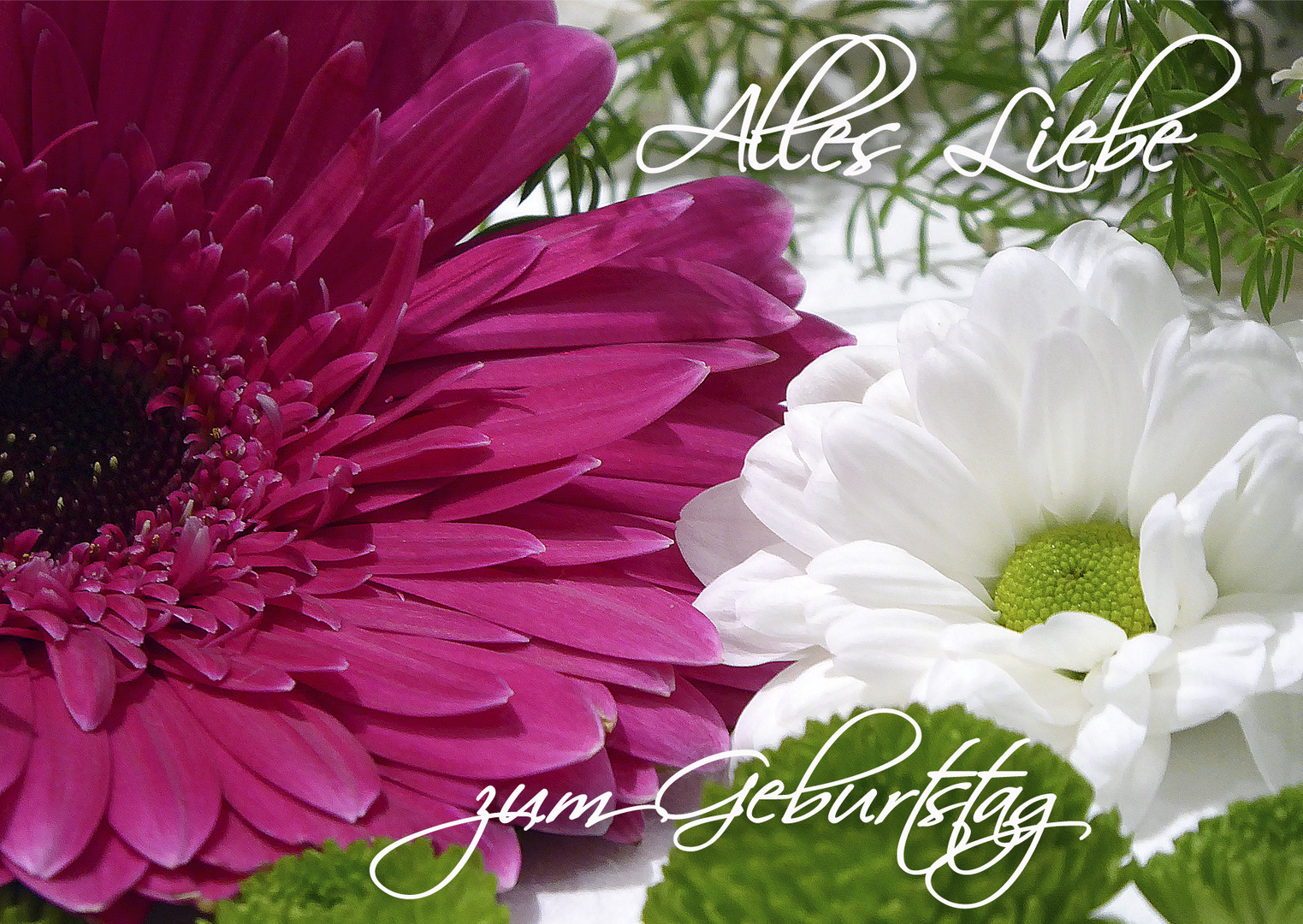 Alles Liebe zum Geburtstag Foto & Bild spezial, geburtstag