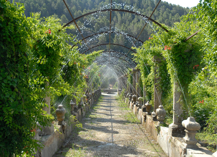 arabischer Garten Foto & Bild europe, balearic islands