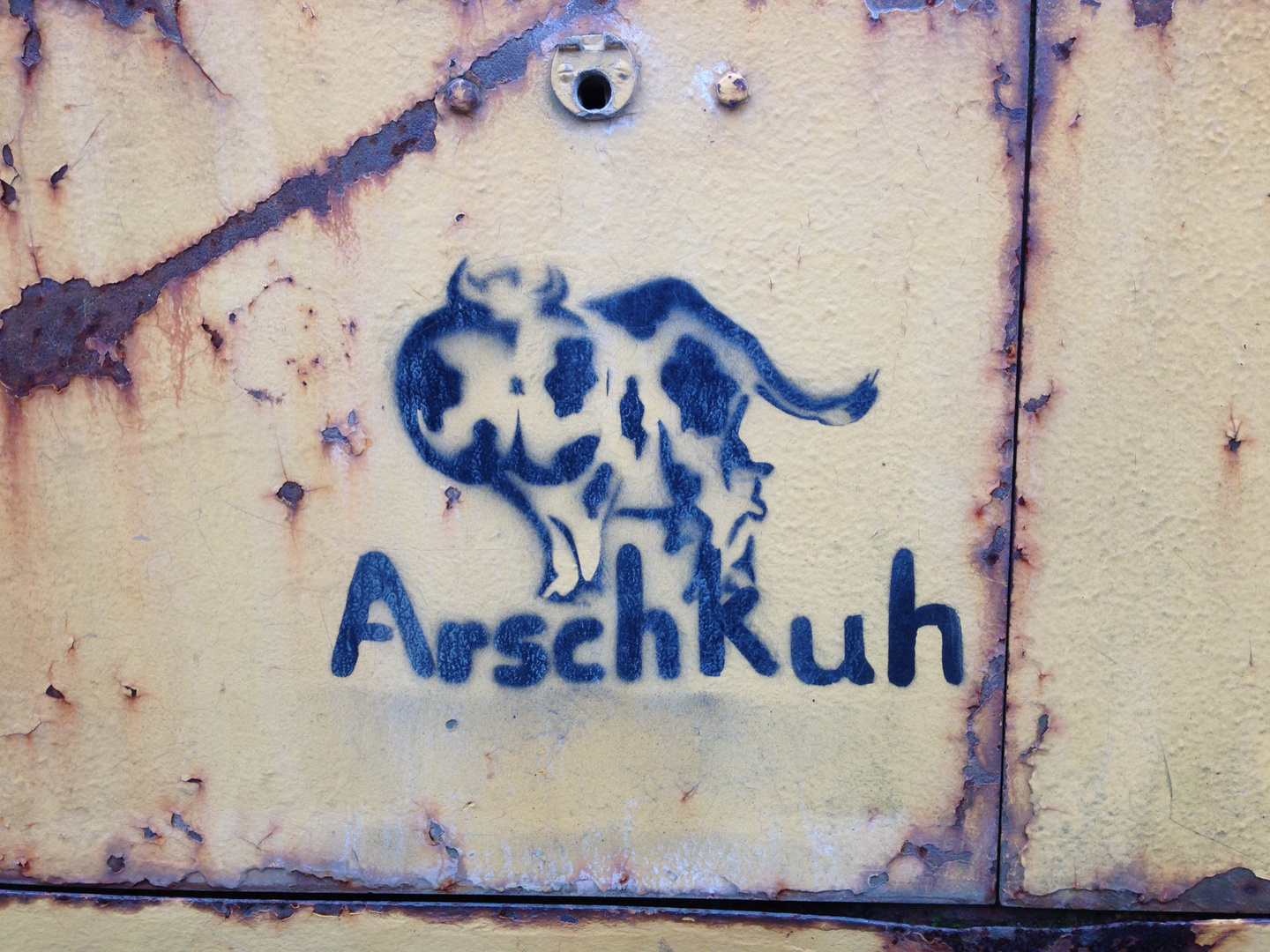 Arschkuh Arschkuh