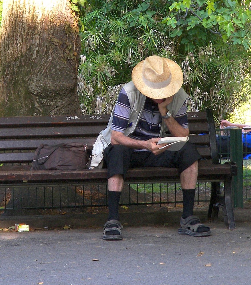 Assis Sur Un Banc assis sur un banc photo et image critique directe Assis Sur Un Banc assis sur un banc photo et image critique directe
