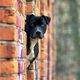 01 Januar - Tier und Architektur