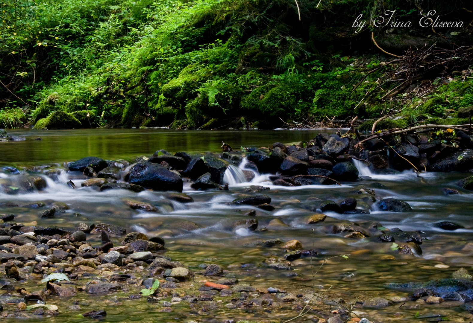 Bach im Wald Foto & Bild | landschaft, bach, fluss & see, flüsse und