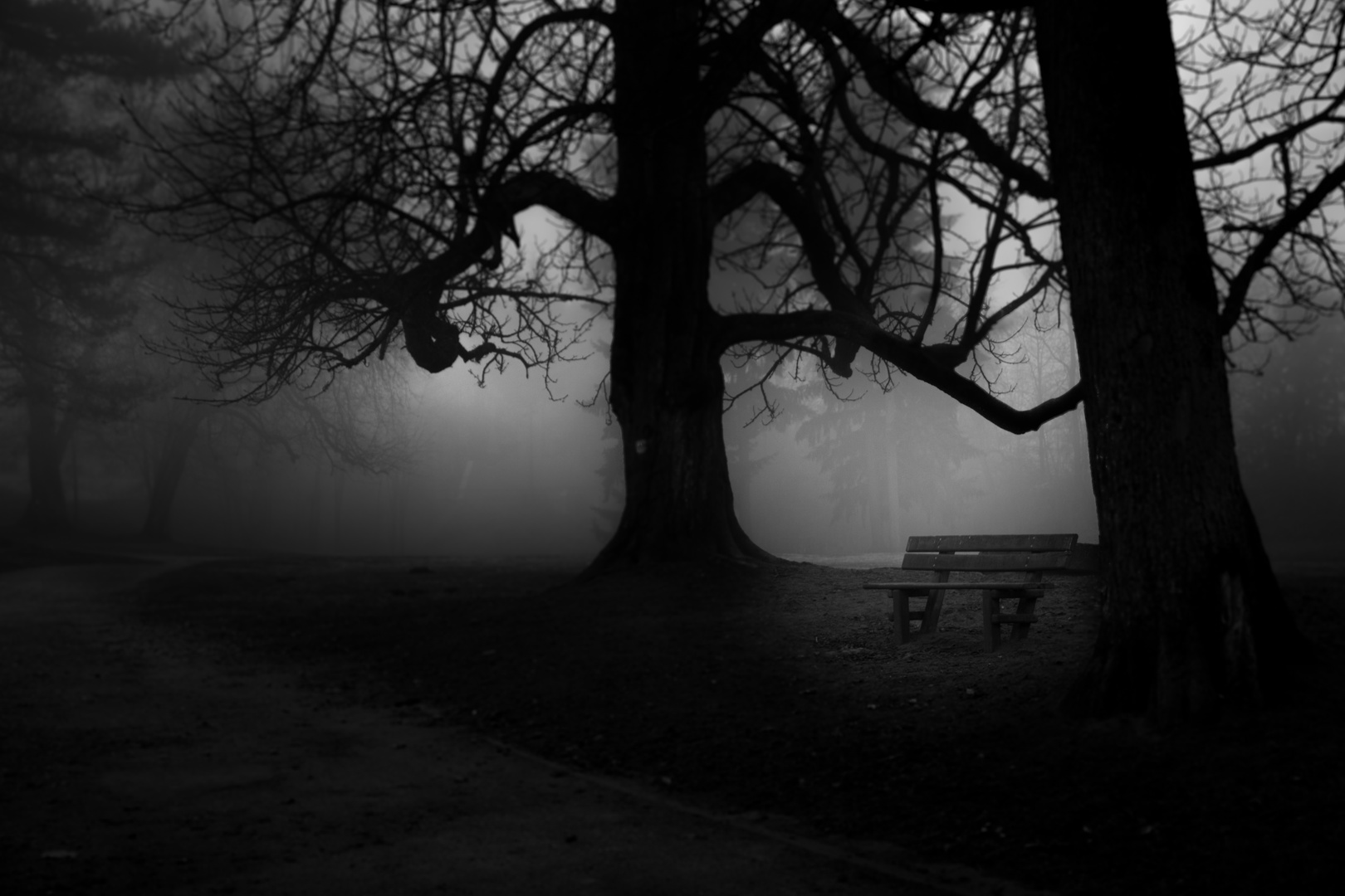 Banc Vide banc vide photo et image noir et blanc nature images Banc Vide banc vide photo et image noir et blanc nature images