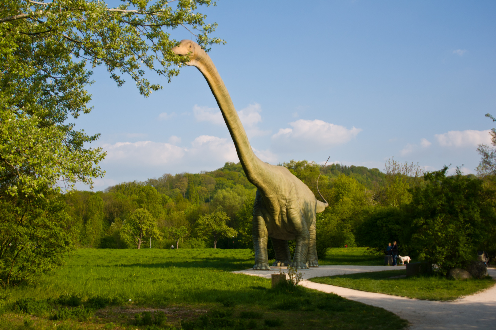 Basel Dinosaurier beim Fressen Foto \u0026 Bild  natur Bilder auf fotocommunity