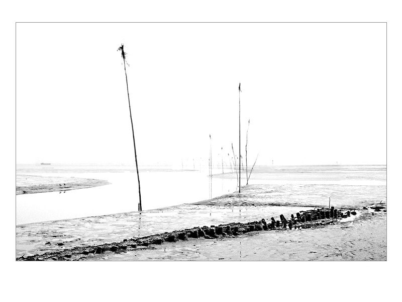 - beyond the sea - by Esti Cs. - beyond the sea - by Esti Cs.