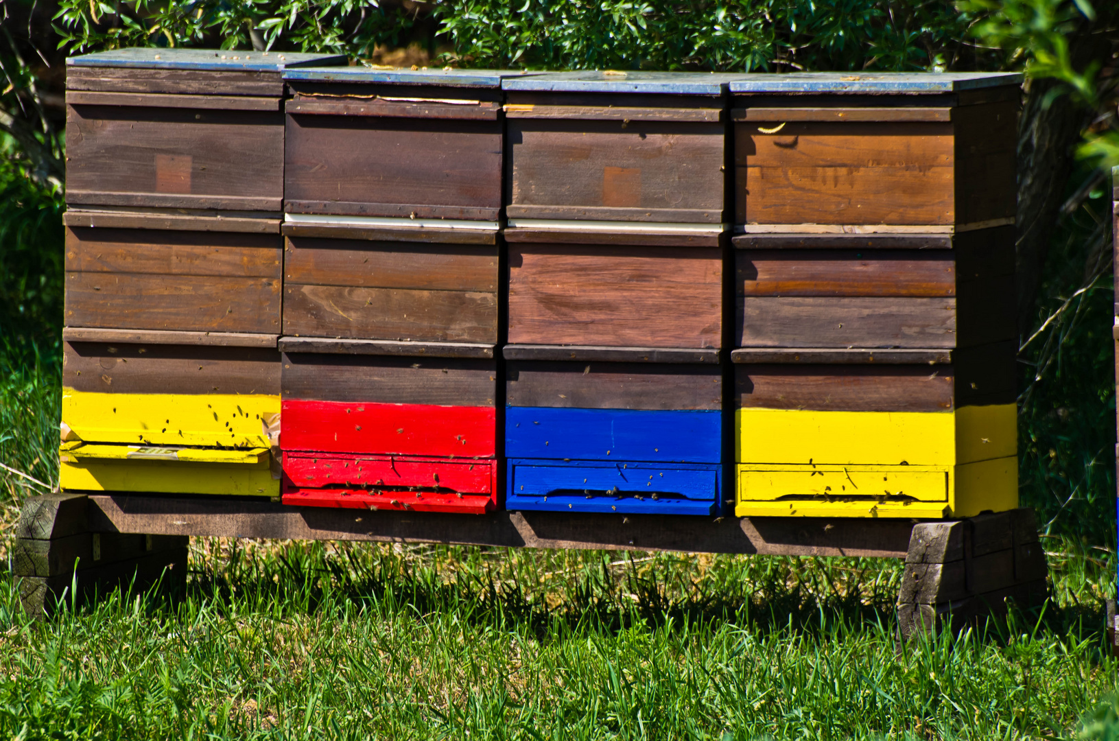 Bienenstock Foto & Bild | landschaft, wüste, bilder Bilder auf
