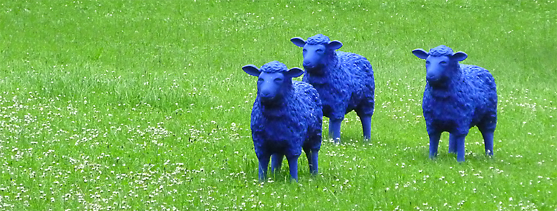 Blaue Schafe Foto & Bild sonstiges, naturkunst, meine fotos Bilder