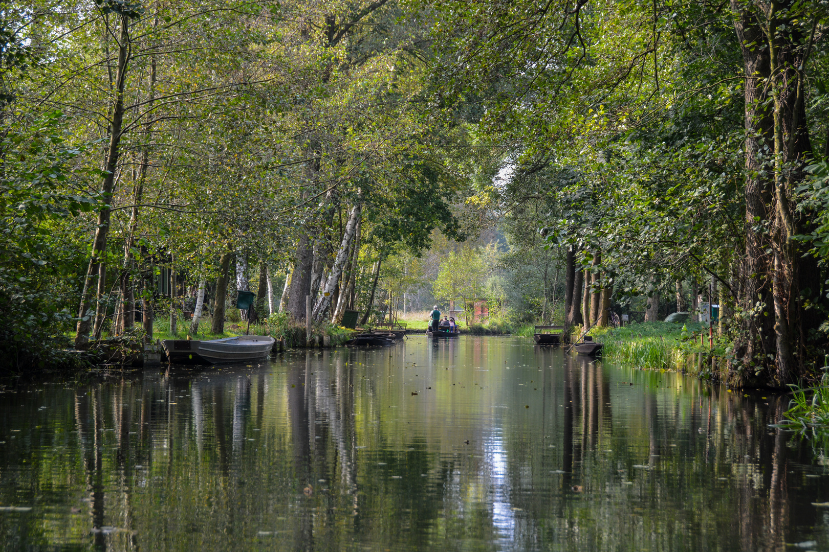 Blick auf ein Fließ bei Lübbenau/Lehde im Spreewald Foto & Bild