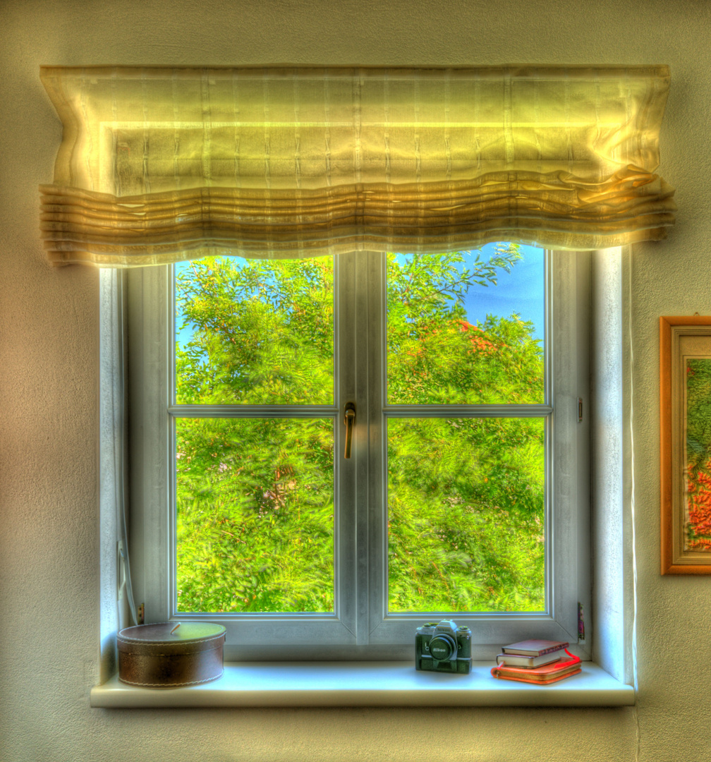 Blick aus dem Fenster Foto & Bild bearbeitungs