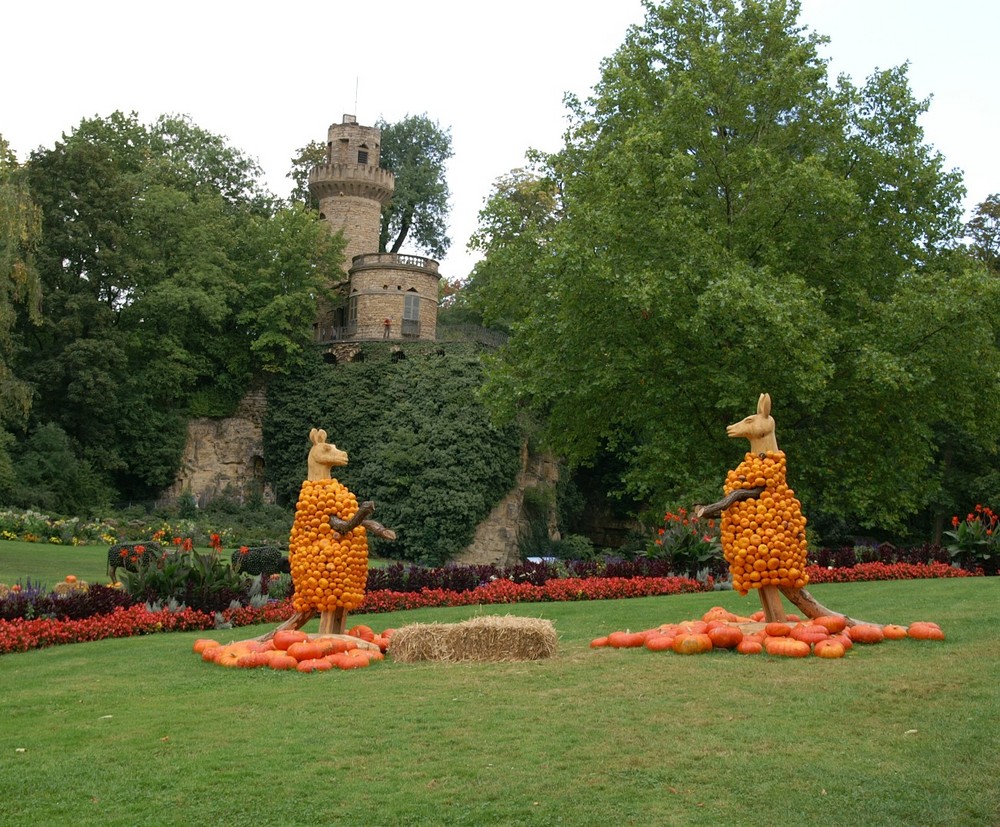 Blühendes Barock Ludwigsburg Kürbisausstellung Foto &amp; Bild