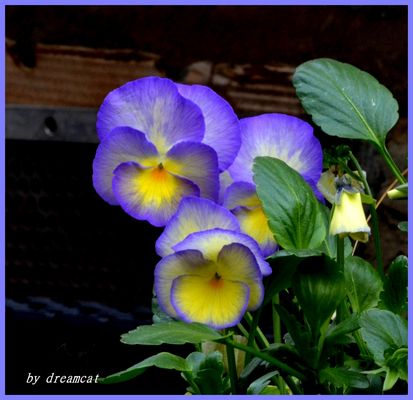 Single aus hattingen