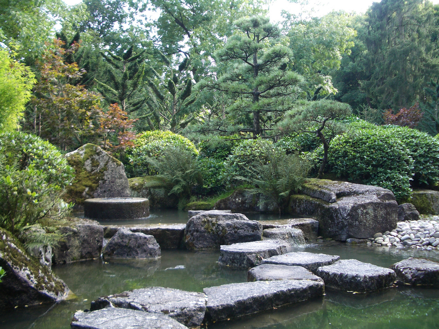 Botanischer Garten Augsburg Foto & Bild landschaft