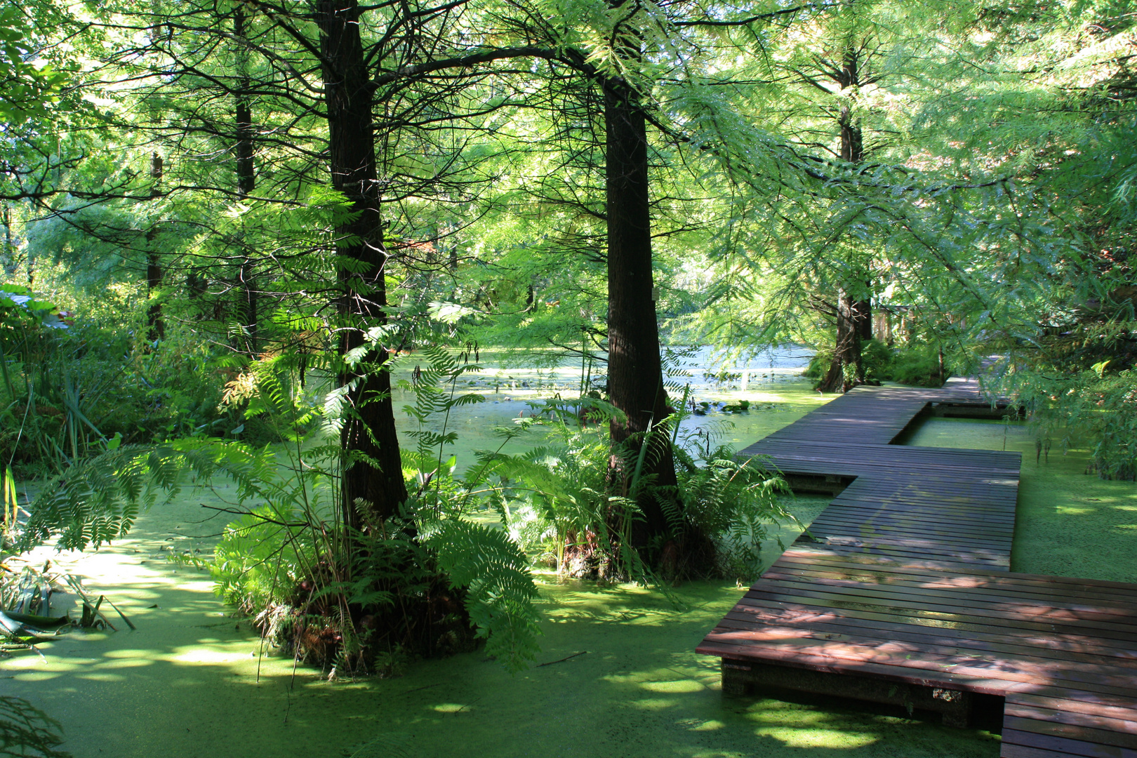 Botanischer Garten Bochum Natur Pur Foto & Bild