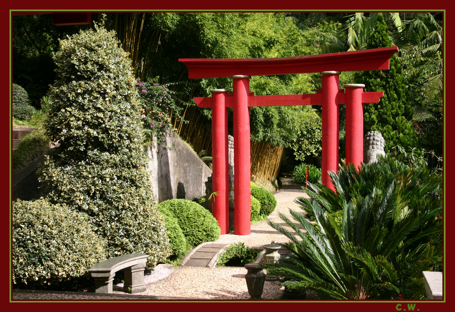 Botanischer Garten Funchal Monte Foto & Bild europe