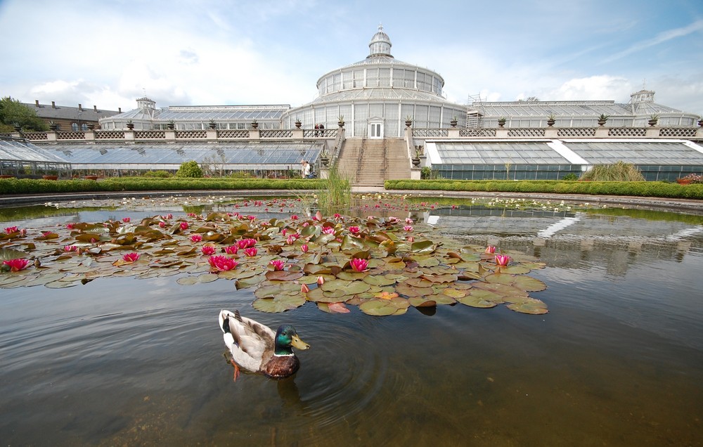 Botanischer Garten Kopenhagen Foto &amp; Bild europe