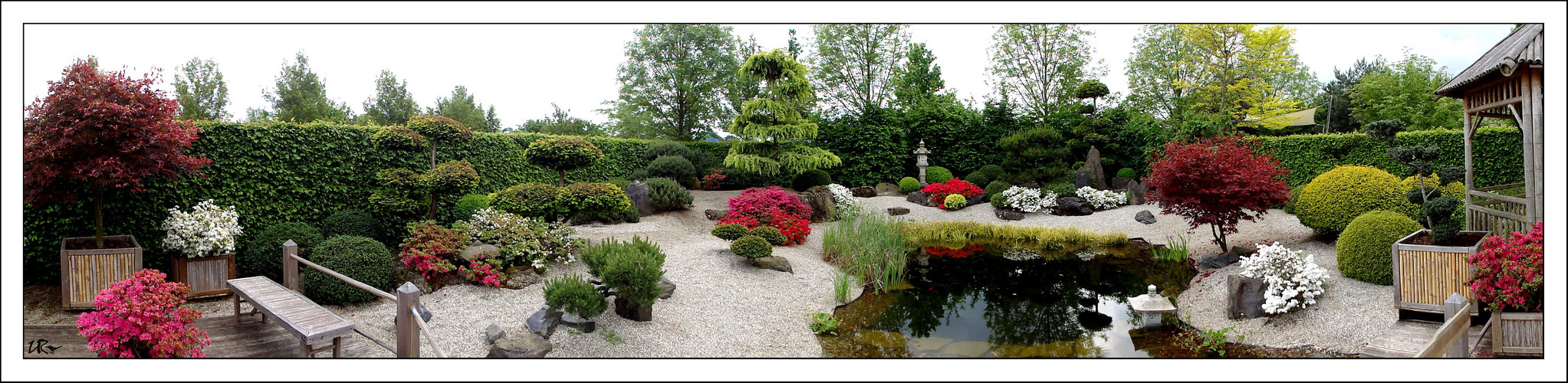 Buddhistischer KoiZenGarten Foto &amp; Bild landschaft
