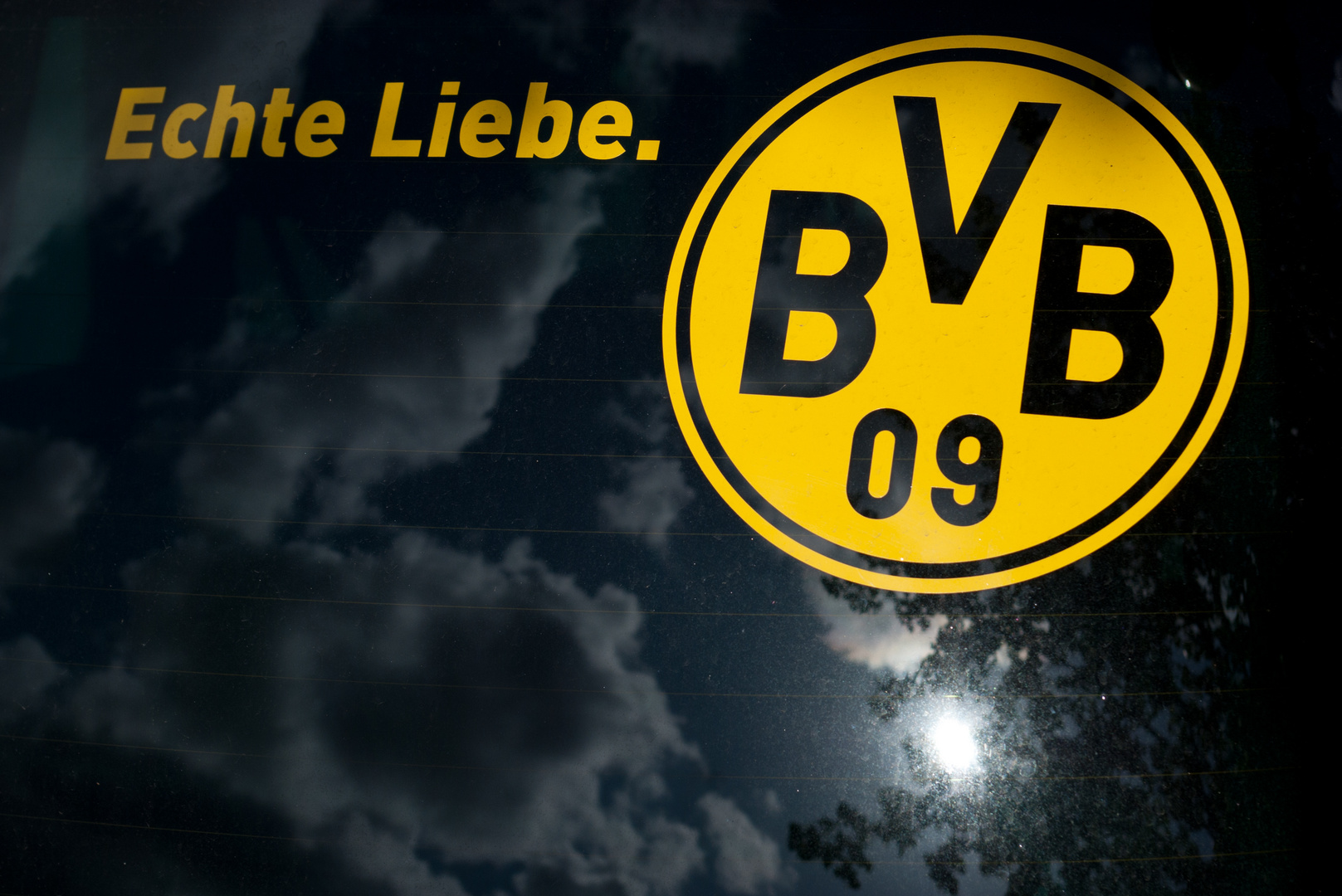 BVB 09, Echte Liebe Foto & Bild sport, ballsport, fußball Bilder auf