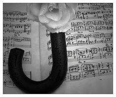 ''CANTANDO BAJO LA LLUVIA''2