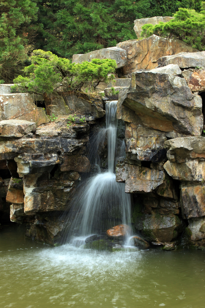 Chinesischer Garten Bochum Foto & Bild landschaft