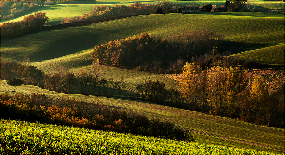 lauragais-paysage