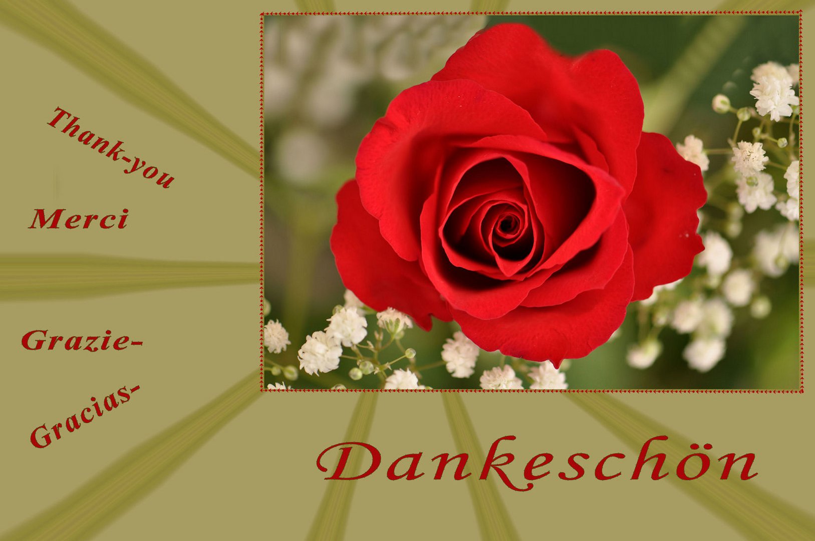 DANKESCHÖN Foto & Bild *glück karten* Bilder auf