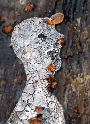 Das Porträt vom Eismann: Skulptur von Künstlerin Natur! - Le portrait du bonhomme de glace..!