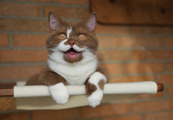 Das Schönste, was es auf der Welt gibt, ist ein leuchtendes Gesicht (Albert Einstein)