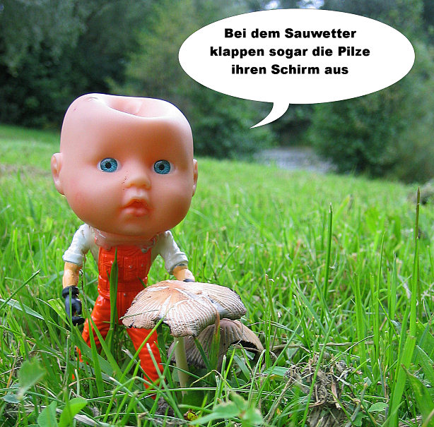 Das Wort zum Sauwetter Foto & Bild quatsch, fun und rätselecke