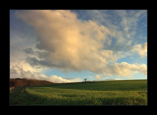 ...dem Frühling entgegen... - oder: ...wo die Feldlerche in den Himmel steigt...