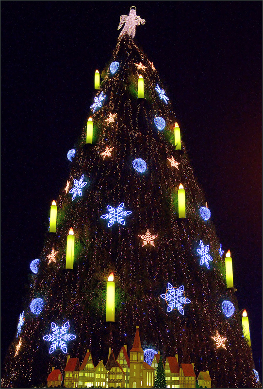 dortmunder weihnachtsbaum my blog dortmunder weihnachtsbaum my blog