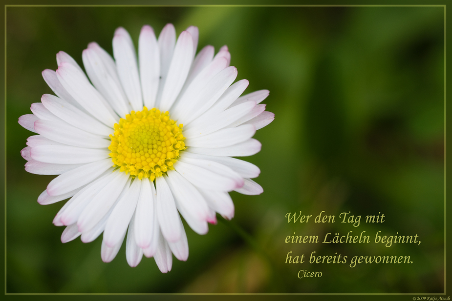 Der letzte Sommergruß Foto & Bild jahreszeiten, sommer, karten Bilder
