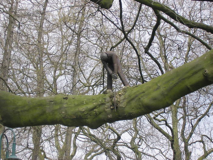der mann im baum der mann im baum