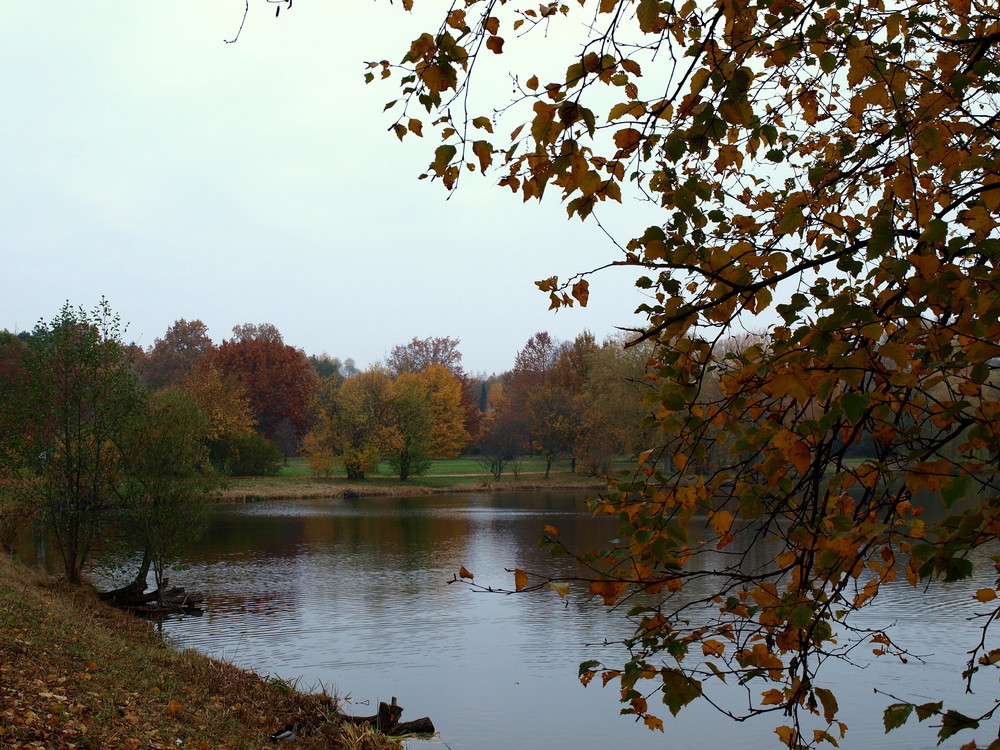 Der Mühlenteich in Glinde Foto & Bild landschaft, bach, fluss & see
