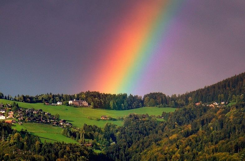4k, 1080p & surface studio resolutions are all available to download. Regenbogen Bilder . der Regenbogen Foto & Bild | landschaft, lebensräume ...