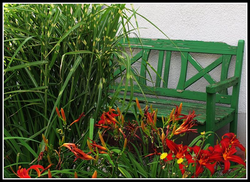 Die grüne Bank im Garten Foto &amp; Bild landschaft