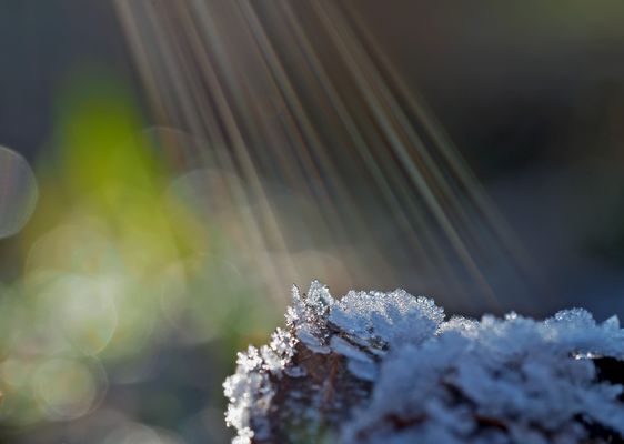 Die Sonnenstrahlen lassen das Eis schmelzen! - Les rayons de soleil font fondre la glace.