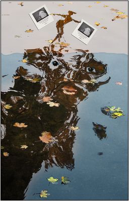 Malen, Fotografieren, MIxen Bilder & Fotos