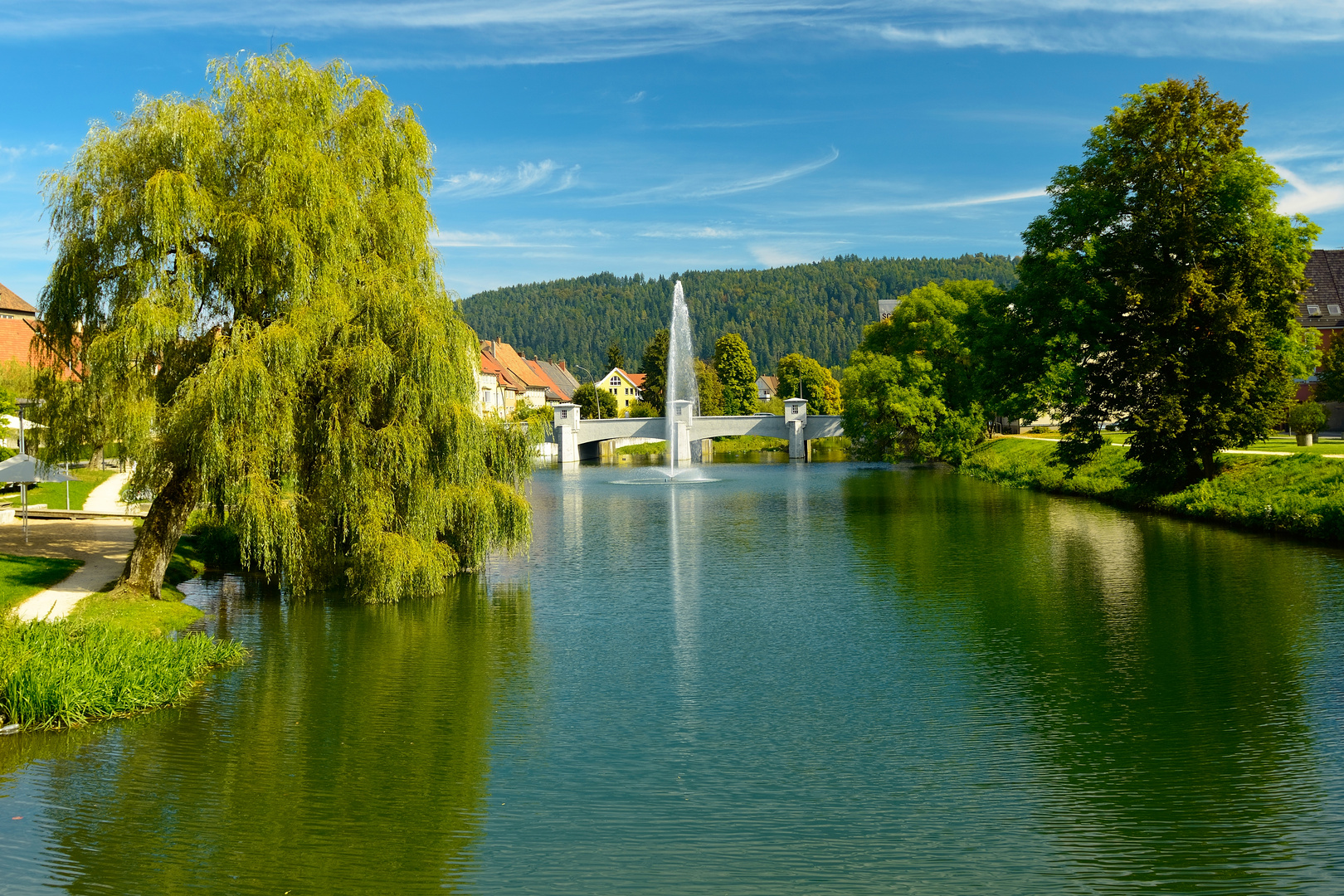 Donau Stadtmitte Tuttlingen Foto & Bild deutschland, europe, baden