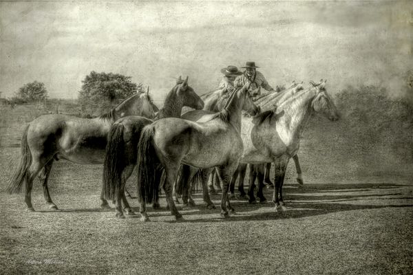 DOS GAUCHOS CON LA TROPILLA ( FELIZ AÑO 2014 A TODOS LOS MIEMBROS DE FOTOCOMMUNITY )