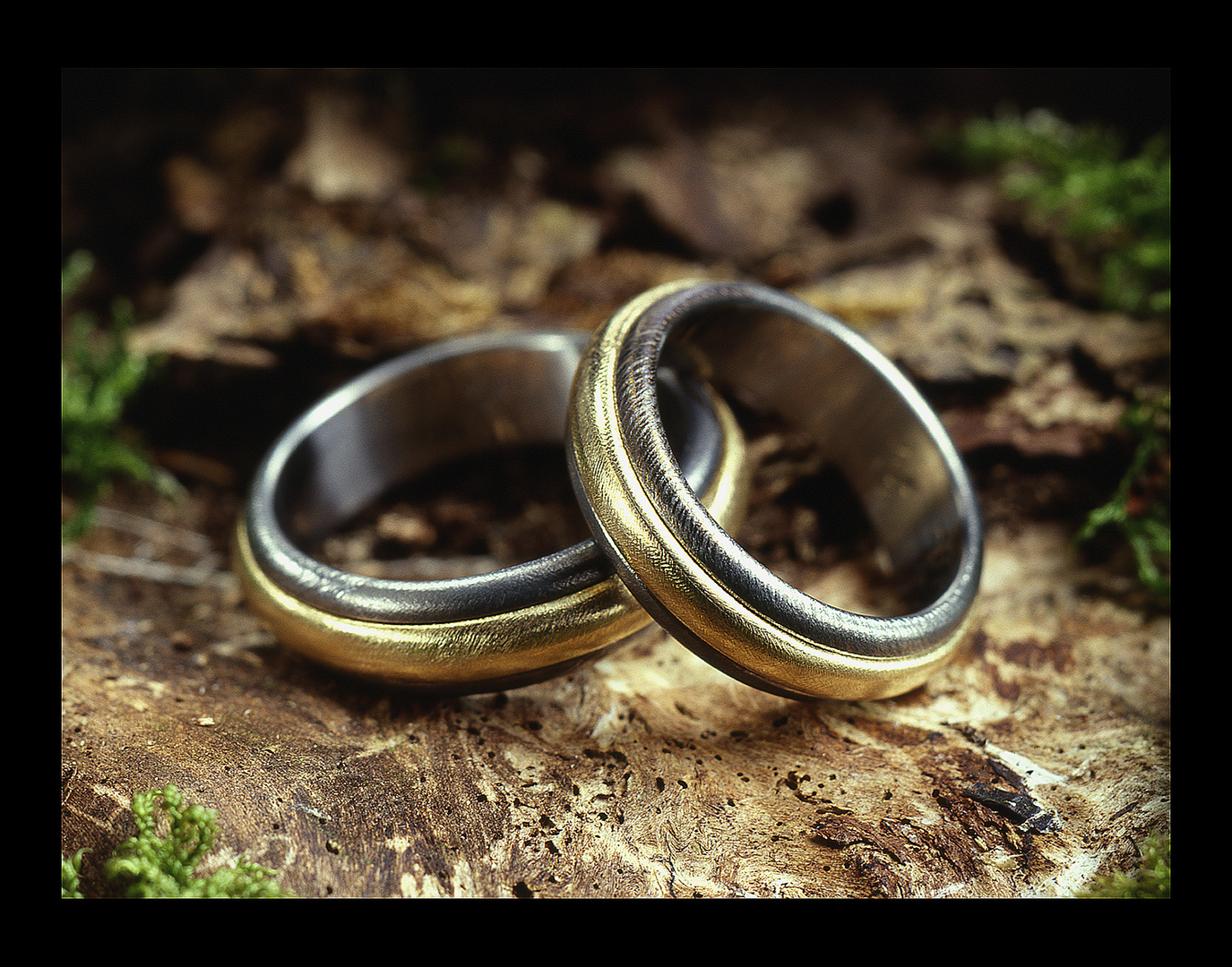 Eheringe Ineinander eheringe quot ineinander quot foto bild stillleben gold Eheringe Ineinander eheringe quot ineinander quot foto bild stillleben gold