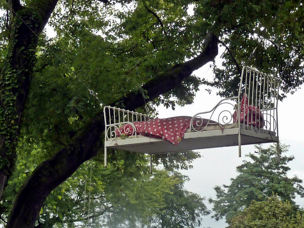 ein Bett im Baum, das ist immer noch frei;) Foto & Bild