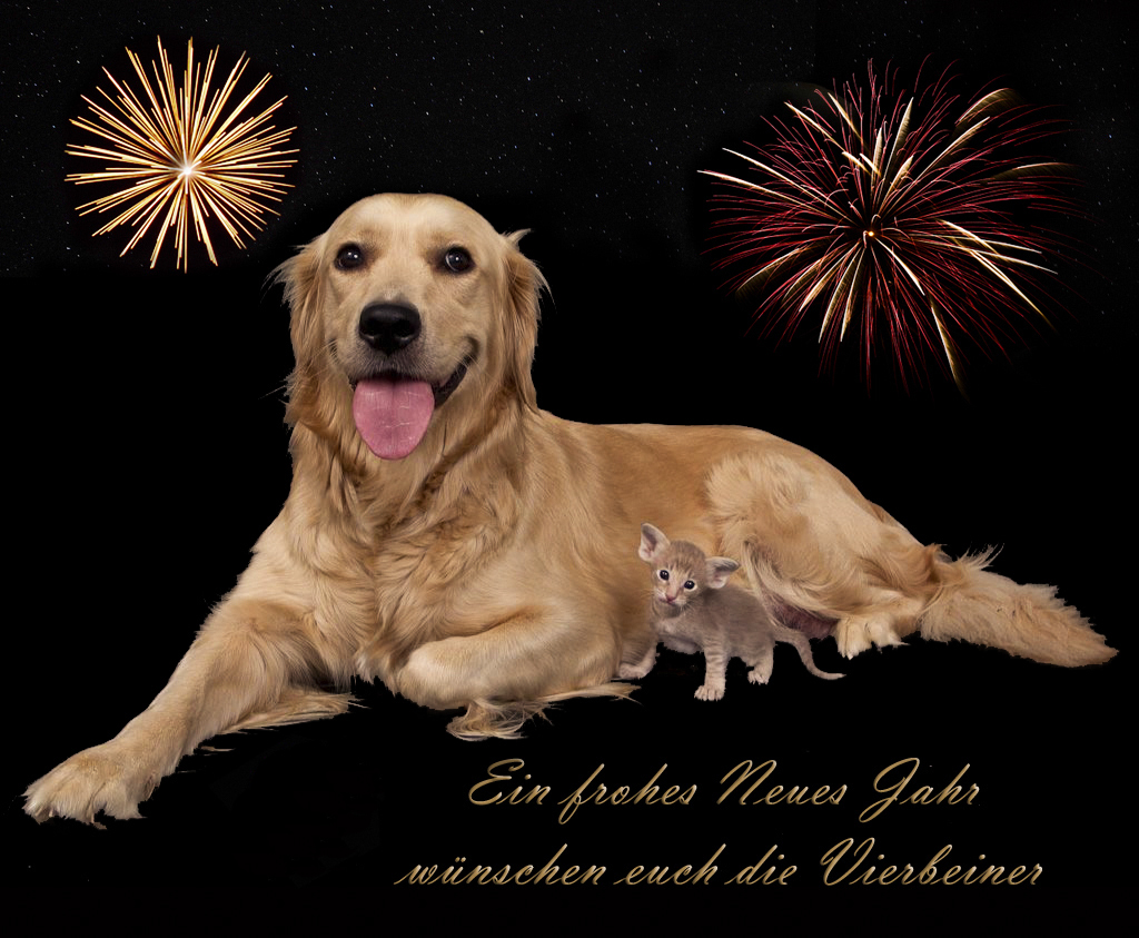 Frohes Neues Jahr Tiere Frohes Neues Jahr Tiere