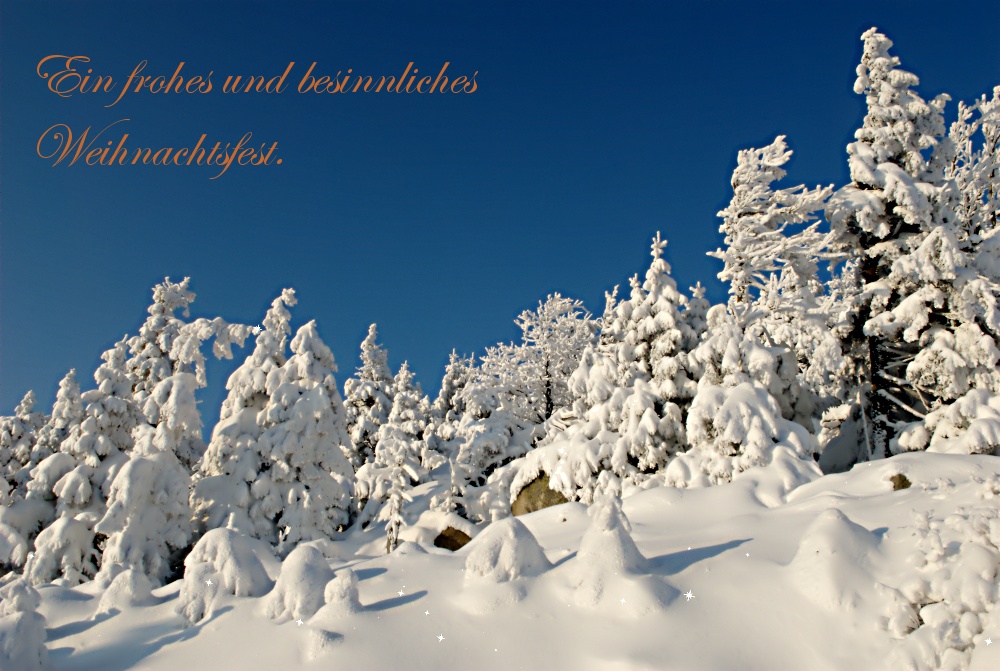 Ein frohes und besinnliches Weihnachtsfest Foto & Bild  gratulation 