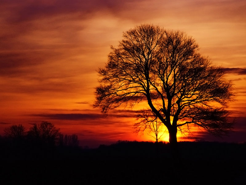 Ein Hauch Afrika... Foto & Bild | landschaft, lebensräume, natur Bilder